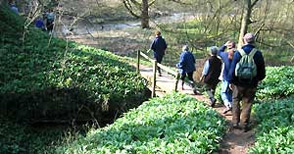 Welcome to Footpaths.org.uk photo